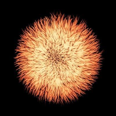 Cosmogonia - Yom