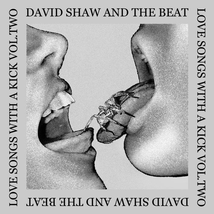 Love Songs With A Kick - Volumes Two & Three - David Shaw And The Beat