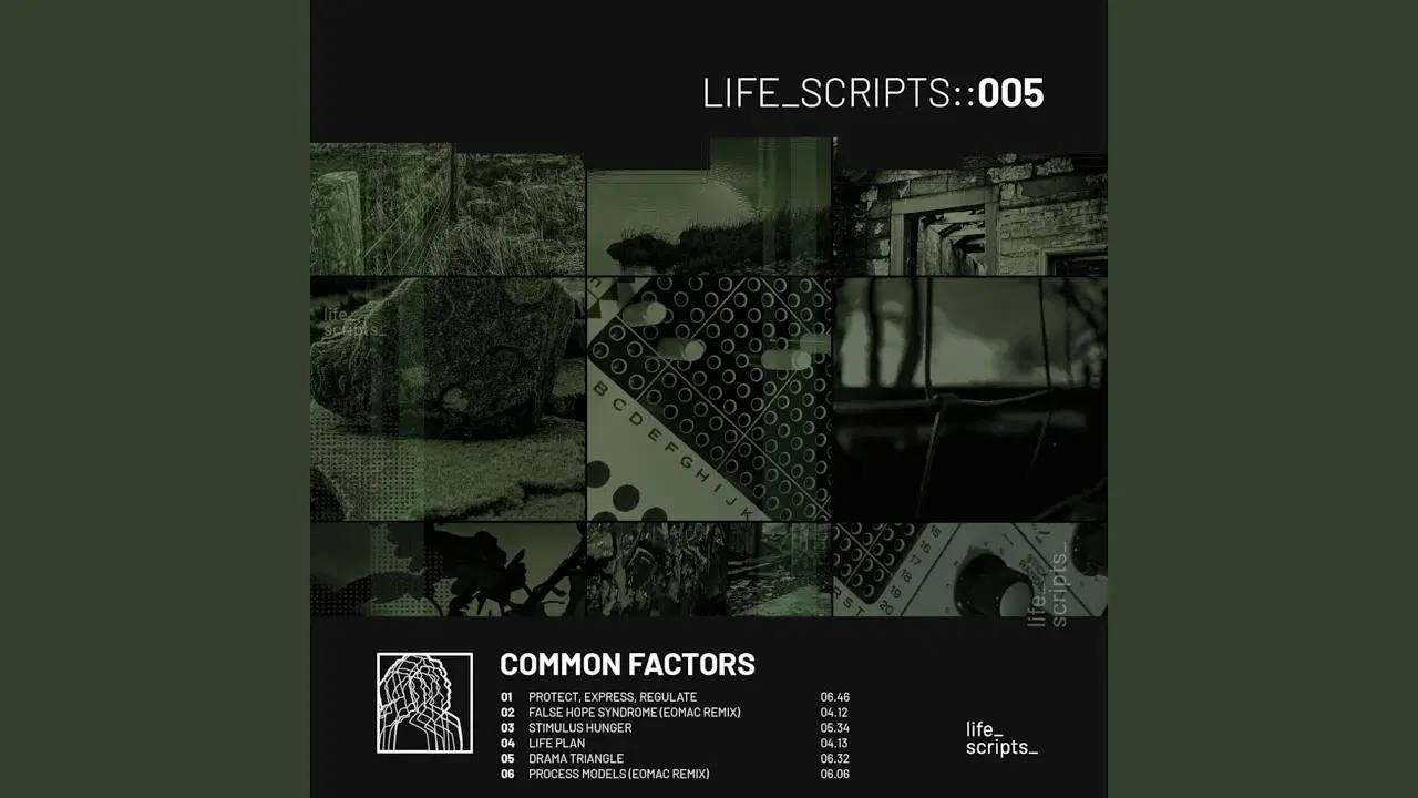 Protect Express Regulate - Common Factors
