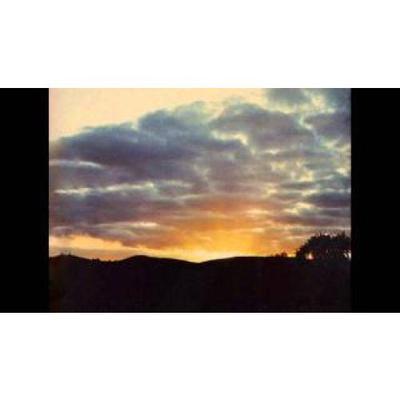 Money Mountain (The Greatest Hit) - Blue Orchids