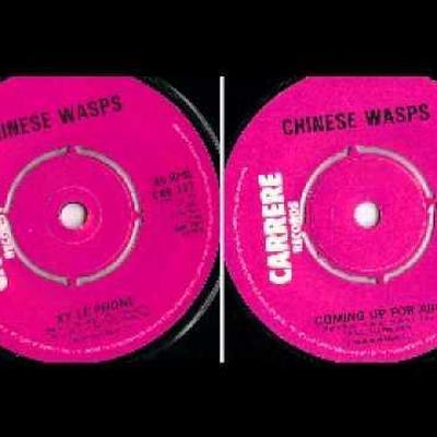  - CHINESE WASPS