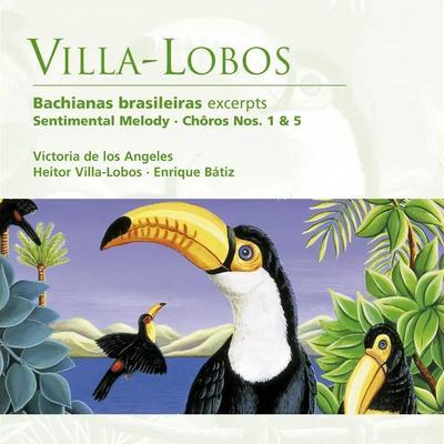 Samba Marca Registrada Brasil - Alma Brasileira