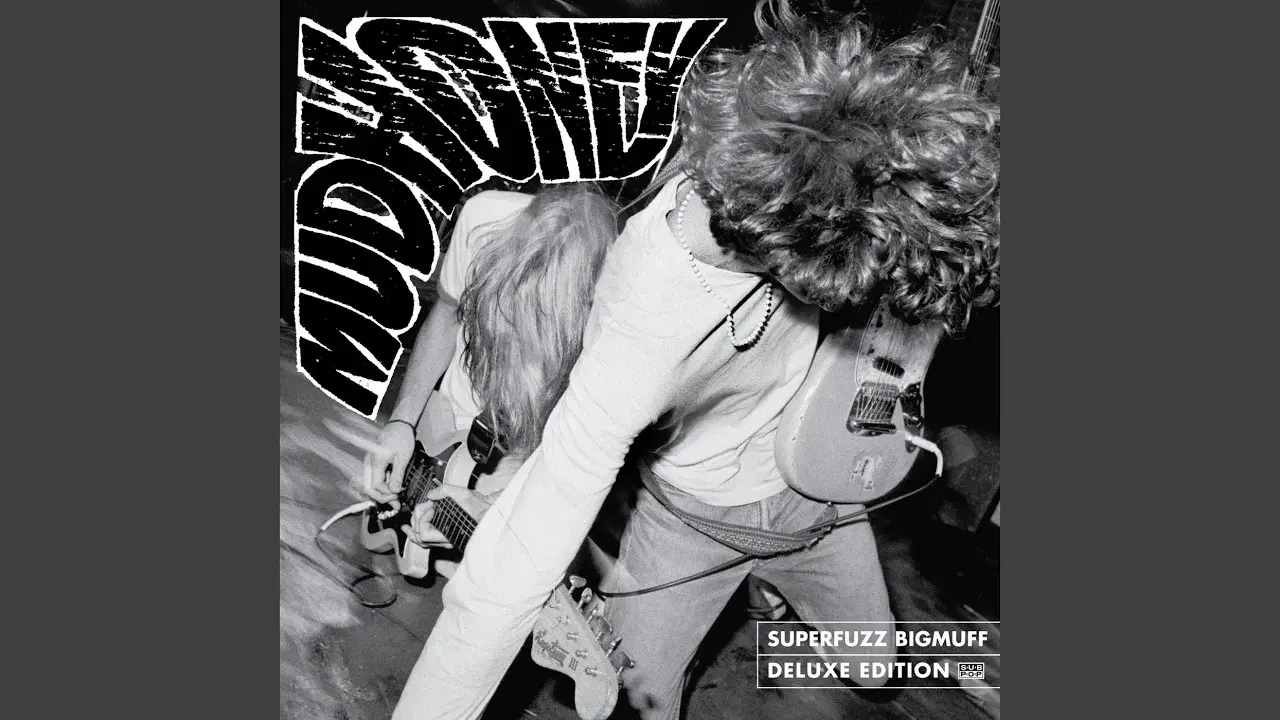 Superfuzz Bigmuff - Mudhoney