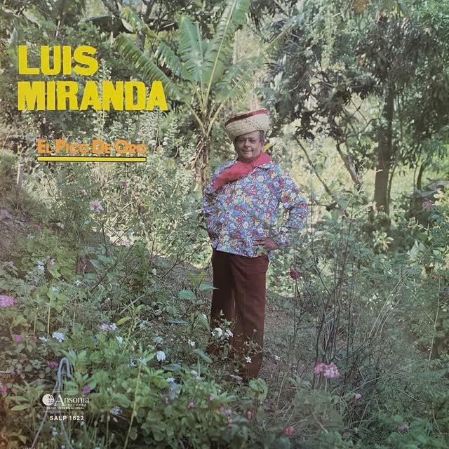 El Pico De Oro - Luis Miranda
