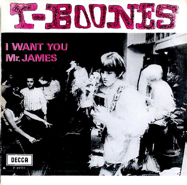 I Want You / Mr. James - T-Boones