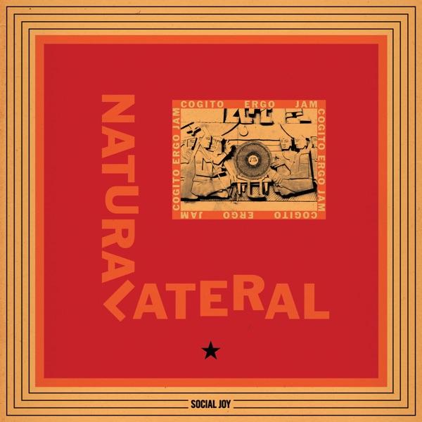 Cogito Ergo Jam - Natural Lateral