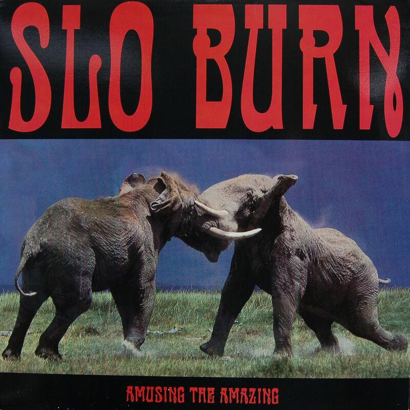 Amusing The Amazing - Slo Burn