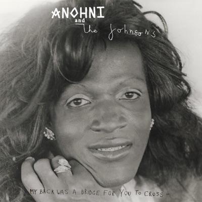 My Back Was A Bridge For You To Cross - Anohni
