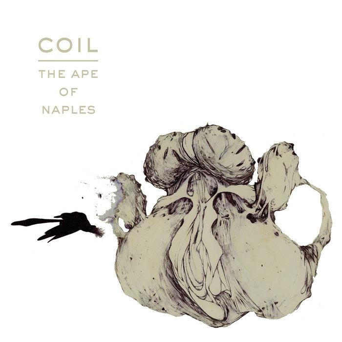 The Ape Of Naples - Coil