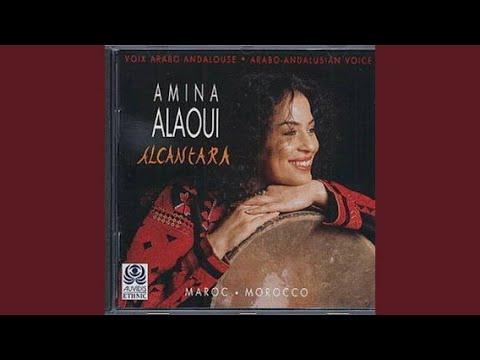 Alcantara - Amina Alaoui