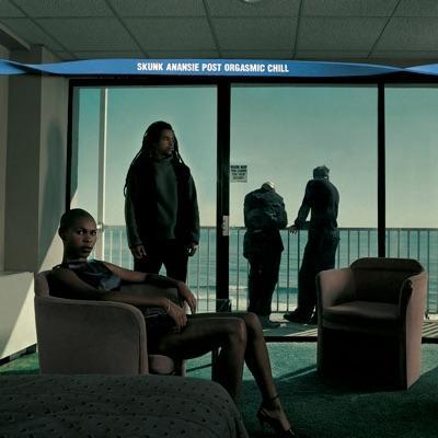 Post Orgasmic Chill - Skunk Anansie