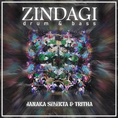 Zindagi (feat. Tritha) - Single - Janaka Selekta