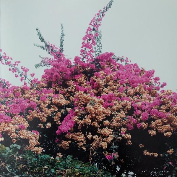 Turn Into - Jay Som