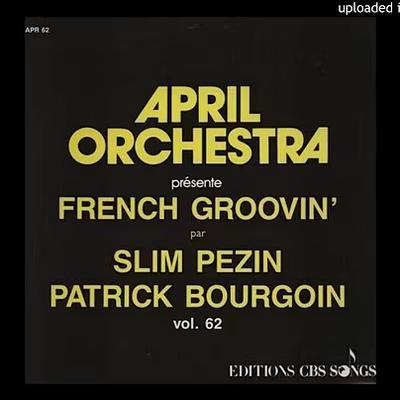French Groovin - Slim Pezin & Patrick Bourgoin