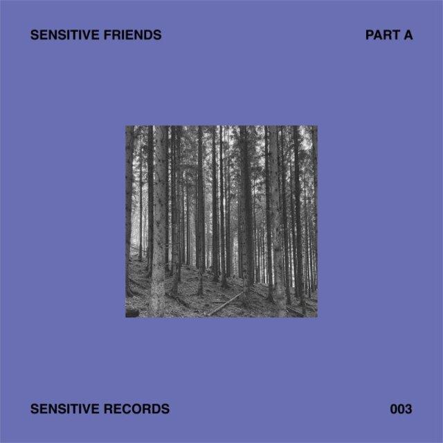 Sensitive Friends - Part A - Philip I Schneider, Josephine Philip, Hannah Schneider