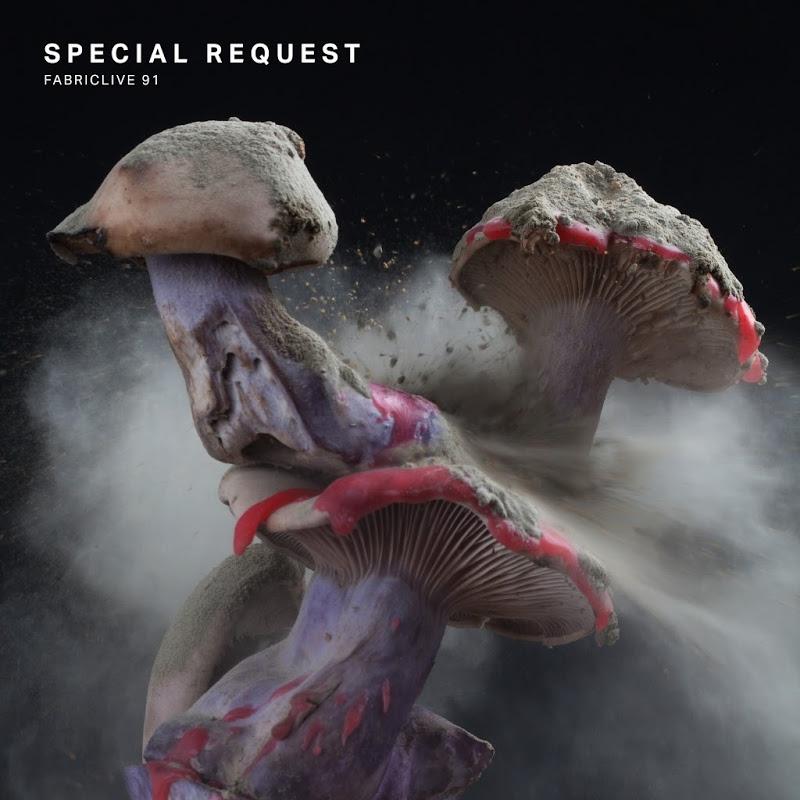 FABRICLIVE 91: Special Request - Special Request