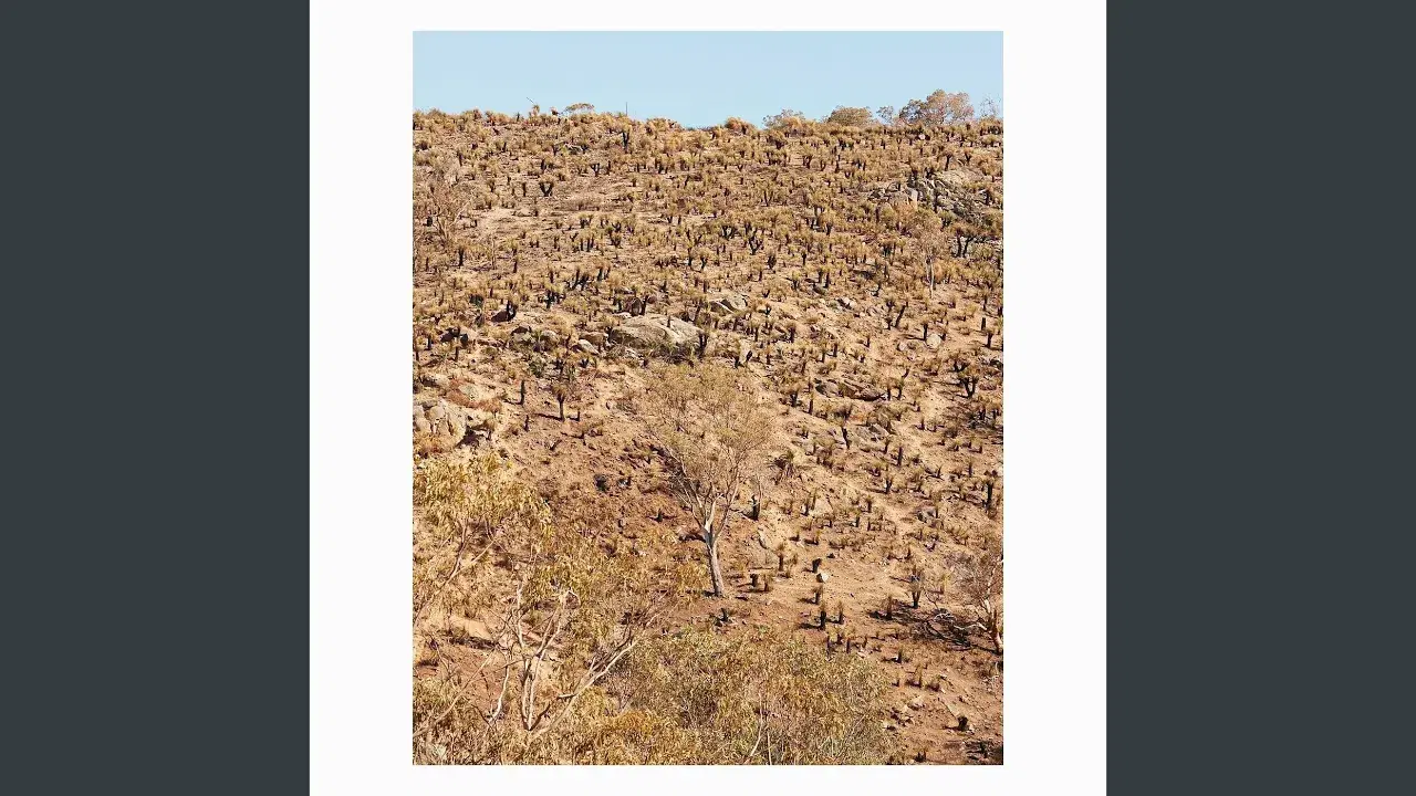 Palimpsests - Andrew Pekler, Giuseppe Lelasi