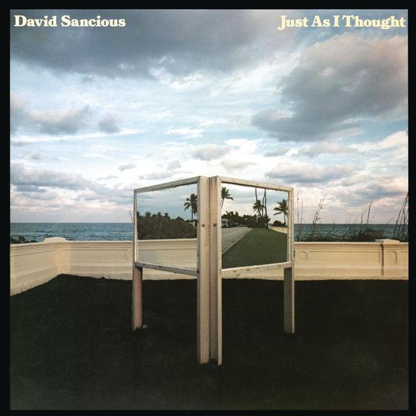 Just as I Thought - David Sancious