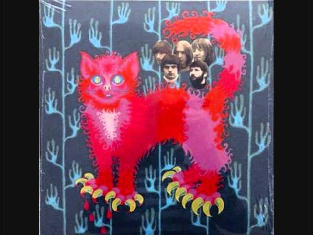  - Pussy