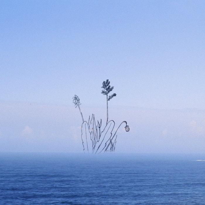wander into - ann annie