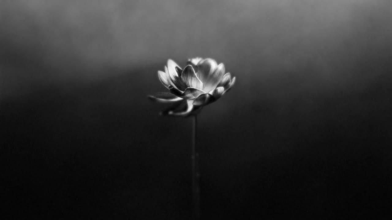 Lotus - Little Simz