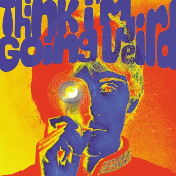 Psychedelic Schlemiels 3: More Lost Sounds From the Britpsych Scene 1967-1970 - Jade Hexagram