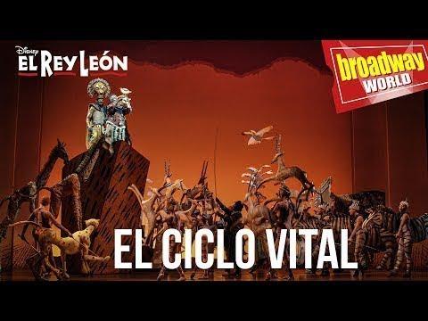  - Grupo eenica