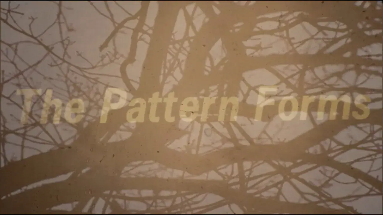  - The Pattern Forms