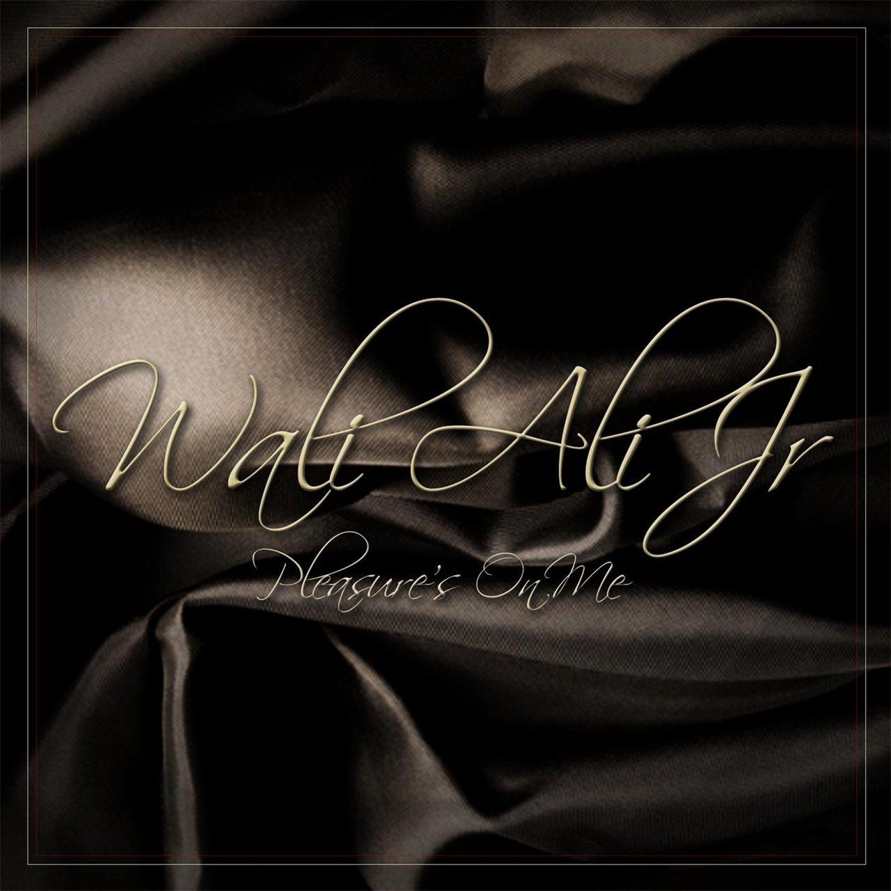 Pleasure's On Me - Wali Ali Jr