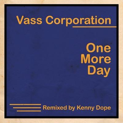 - Vass Corporation
