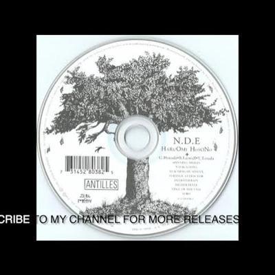 N.D.E. - Harumomi Hosono