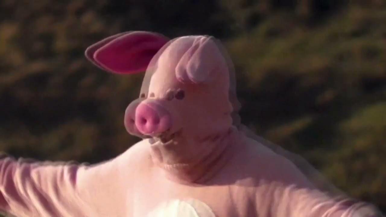 Palindromes - pigbaby