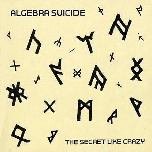 The Secret Like Crazy - Algebra Suicide